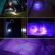 thumbnail image 5 of Linterna UV MACHAO Linterna LED UV Detector de orina para perros/gatos, 5 of 5