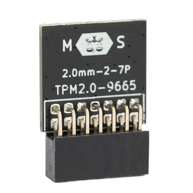 Chip TPM Bling Bling Módulo TPM 2.0