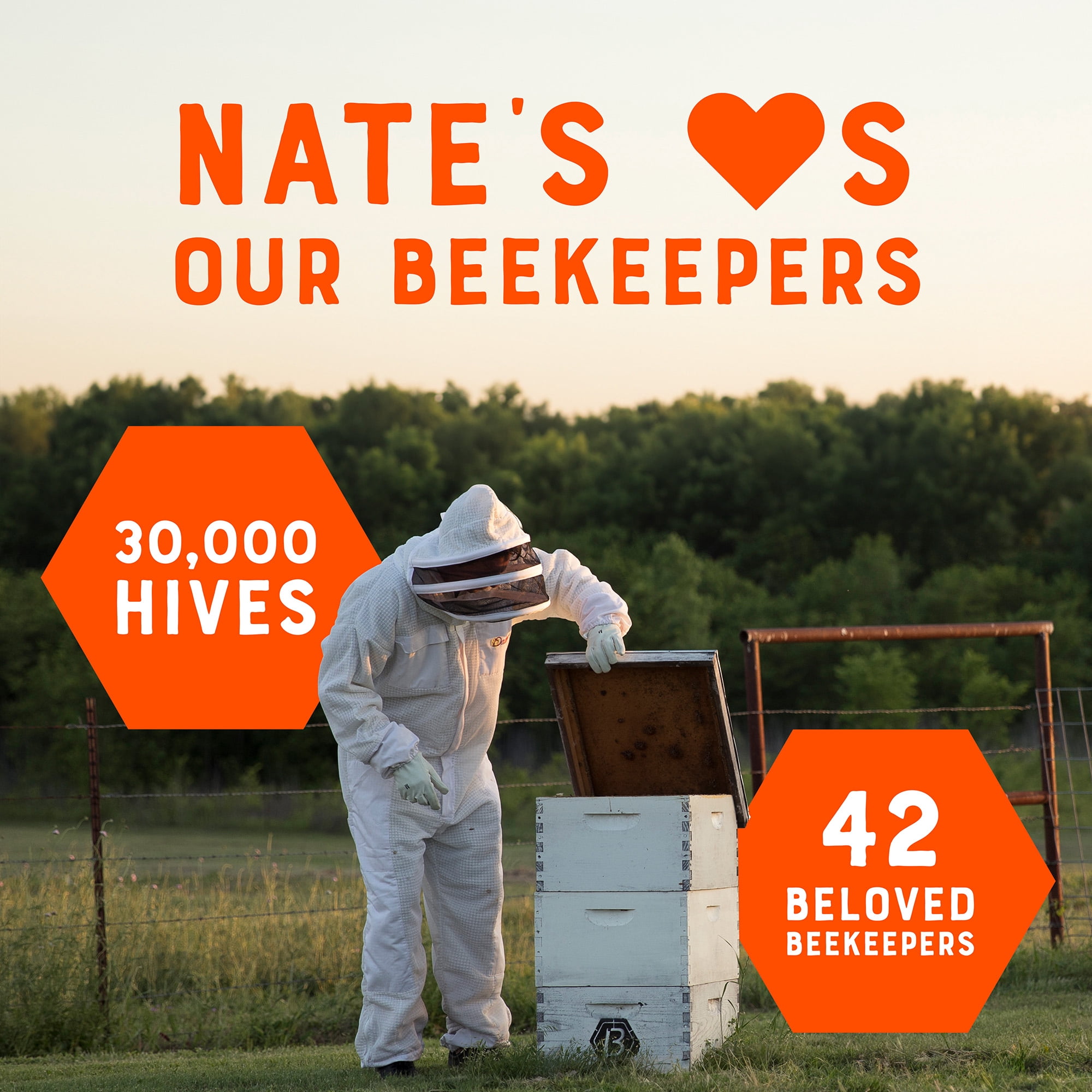 Nate's Louisiana Honey: 100% Pure, Raw and Unfiltered Honey - 12 fl oz Bottle