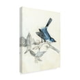 thumbnail image 2 of Trademark Fine Art 'UA CHBR Rustic Aviary III' Canvas Art by Naomi McCavitt, 2 of 4