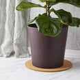 thumbnail image 3 of Plant Cork Mat, Round Planter Plate for Home Decor, House Plants (12 in, 3 Pack), 3 of 8
