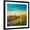 Black Frame, variant on Art.com Picturesque, Serene Sunset in Saguaro National Park - Sonoran Desert - American Southwest. Stretched Canvas Print Wall Art by Katrina Leigh, 24" x 24"