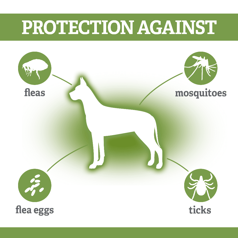 natural care flea and tick drops safe