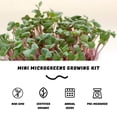 thumbnail image 4 of Microgreens Growing Kit Mountain Valley Seed Salad Mix, 4 of 7
