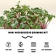 thumbnail image 4 of Microgreens Growing Kit Mountain Valley Seed Salad Mix, 4 of 7