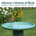 thumbnail image 4 of Sunnydaze Classic Freestanding Ceramic Outdoor Bird Bath, UV-Resistant Seafoam Finish, 4 of 17
