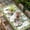 Forest Green, variant on Spring Easter Table Cloths for 6 Foot Rectangle Tables, Easter Eggs Bunny Truck Botanical Green Plaid Patio Waterproof Elastic Fitted Tablecloths, Washable Rectangular Table Cover for Camping
