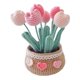 thumbnail image 1 of Kit Crochet en Macetas Flores Diy Lindas Plantas Herramienta para (Tulip), 1 of 9