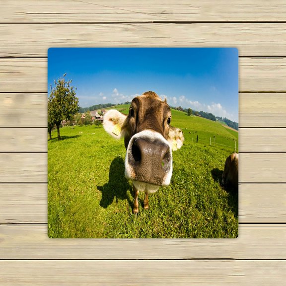 ECZJNT Happy swiss cow funny fisheye nose shot Beach Bath Towels Shower Towel For Home Outdoor Travel 13x13 Inch