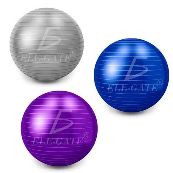Pelota De Estabilidad Ele Gate Para Fitness Yoga Pilates 550 kg