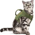 thumbnail image 3 of Pet Artist Adjustable Pet Cat Puppy Harness Vest No Pull with Handle for Small Dogs Chihuahua Yorkshire, 3 of 8