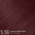 thumbnail image 5 of GK HAIR Global Keratin Permanent Hair Cream Color with 87+ Shades (3.4 Fl Oz/100ml) Nourishing & Cleansing Colors for Styling High Performance Long Lasting Natural Toner Hair Dye Tubes - Unisex, 5 of 9