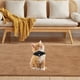 thumbnail image 5 of Collar de nailon duradero para perros pequeños y gatos Diseño ajustable y versátil Ideal para el uso diario y las actividades al aire libre Ajuste cómodo Perfecto para el adiestramiento, 5 of 5