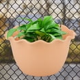 thumbnail image 4 of Non- And  Plant Container, With Drainage Tray Plant Pot, Office Balcony, 4 of 8