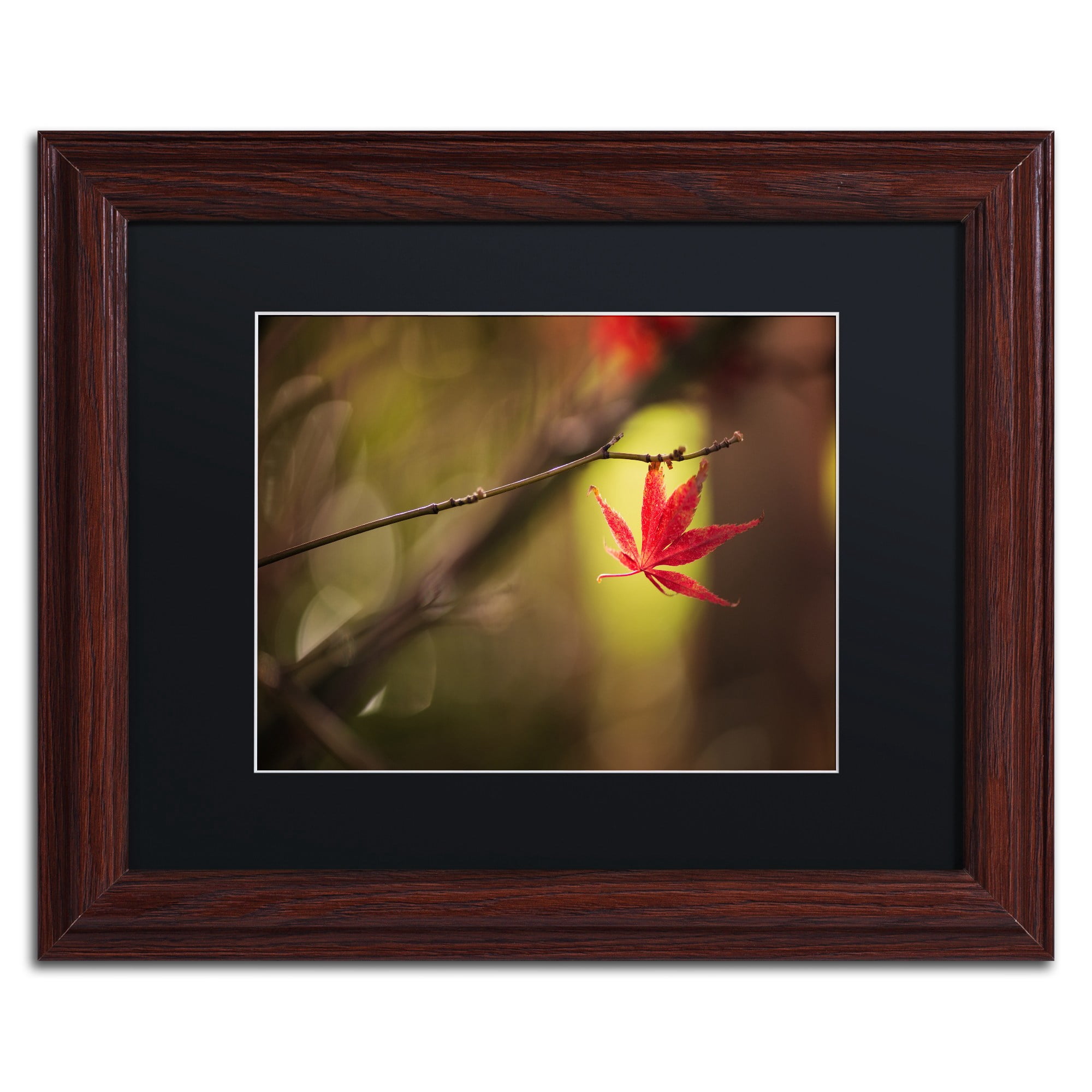 Trademark Fine Art "Don't Give Up" Canvas Art by Philippe Sainte-Laudy Black Matte, Wood Frame