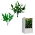 thumbnail image 1 of eucalyptus bush, 1 of 1