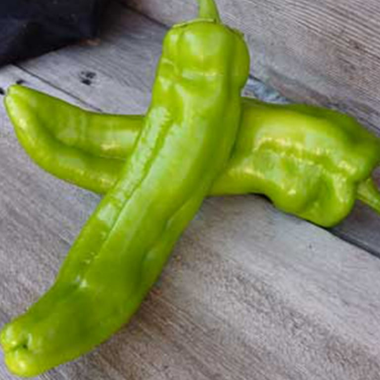 Mexican Chili Pepper Seeds