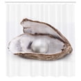 thumbnail image 2 of Ambesonne Oyster Shower Curtain, Closeup of Pearl Seashell, 69"Wx84"L, Dark Taupe and Pale Grey, 2 of 4
