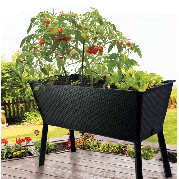 EMSCO Oasis XL Self-Watering Raised Garden, UV-Protected Charcoal Resin