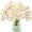 Champagne, variant on Tutuviw 18 Pcs Mini Faux Ranunculus Flowers Bulk, Ranunculus Artificial Flowers, Silk Ranunculus Flowers with Stem for Home Decoration, Wedding Bouquets Centerpieces Arrangements, Champagne