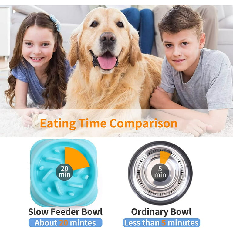 WHIPPY Large Slow Feeder Dog Bowls for Large Medium Dogs Anti-Chocking Slow  Feeding Maze Dog Food Bowl Slow Eating Interactive Bloat Stop Puzzle