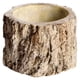 thumbnail image 1 of GOOHOCHY 1 maceta decorativa de cemento con forma de árbol., 1 of 8