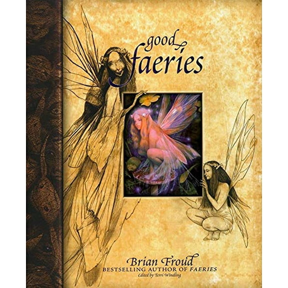 Pre-Owned Good Faeries Bad Faeries (Hardcover) 9780684847818