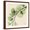 Brown Frame, variant on Art.com Mint Eucalyptus 1 Stretched Canvas Print Wall Art by Albert Koetsier, 16" x 16"