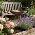 thumbnail image 4 of Metal Bird Bath for Outside,Vintage Freestanding Birdbaths Birdfeeder,Bird Baths Feeder Bowl for Outdoors Garden Patio Yard Lawn Decor,Upgraded 5-Pronged Base (Antique Bronze), 4 of 6