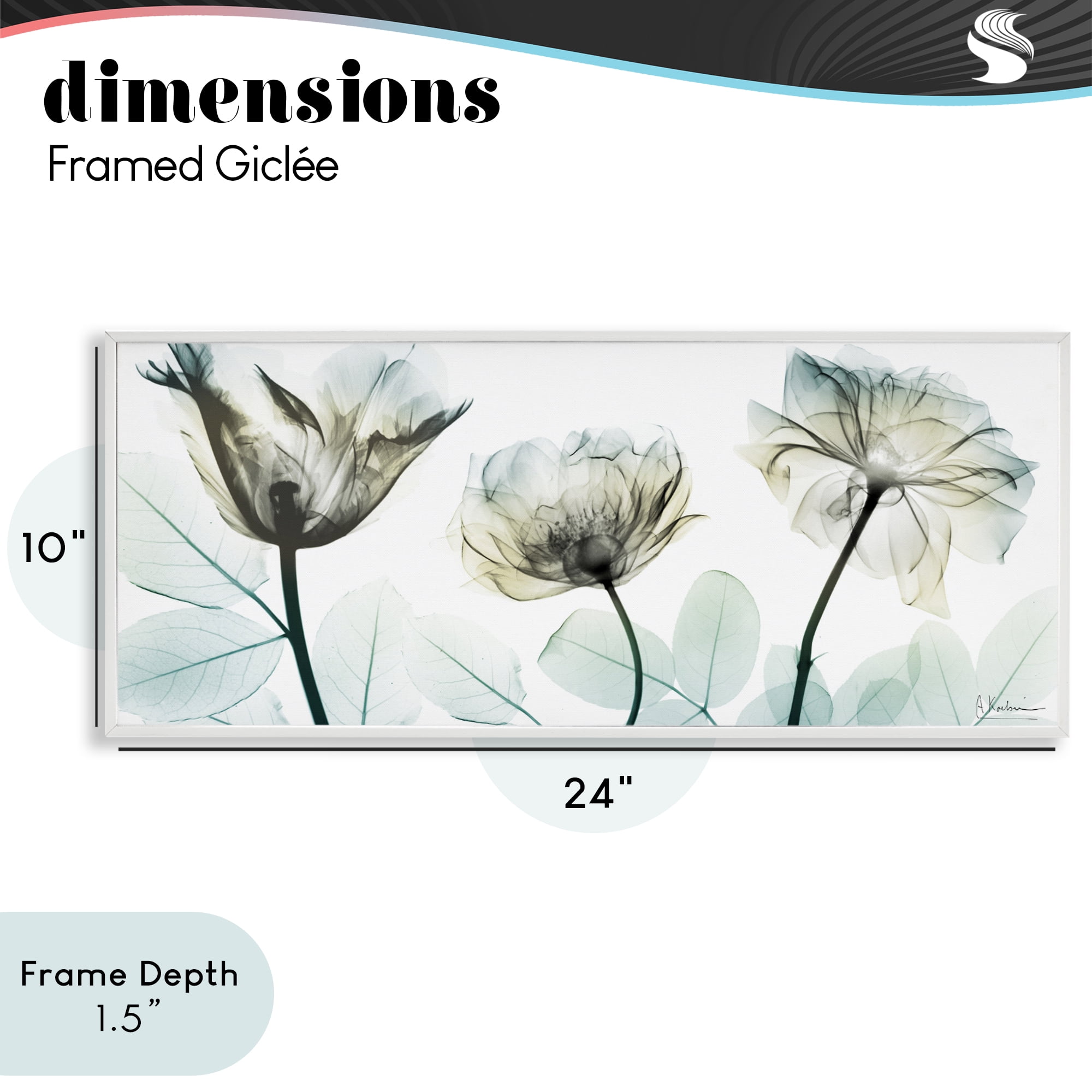 Stupell Industries Jewel of Passion Flowers White Framed Giclee Art, design by Albert Koetsier