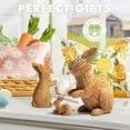 thumbnail image 5 of Ayieyill 3 Pcs Easter Rabbit Decor, Easter Rattan Bunny Resin Ornaments for Home Courtyard Tabletop to Enhance The Easter Atmosphere, 5 of 8