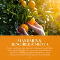 thumbnail image 4 of Shampoo Herbal Essences Frescura Mandarina, Jengibre & Menta 400 ml, 4 of 5