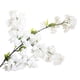 thumbnail image 2 of RKSTN artificial flowers for outdoors Simulated Flower And Plant Bonsai Wedding Decorations Plant Wall Home, 2 of 4