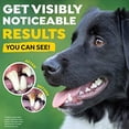 thumbnail image 3 of Gel de aliento TropiClean para perros, 3 of 3