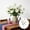 White, variant on Fmbmuo 2PC Independence Day Simulation Flower Set Of 2 stems31.5 Inch 6 Butterfly Blooms Artificial Flowers For Memorial Day Party Table Decoration