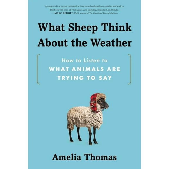What Sheep Think about the Weather: How to Listen to What Animals Are Trying to Say, (Paperback)