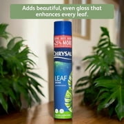 Chrysal Leafshine Aerosol Spray 25 Ounces Bundled (12 Pack)