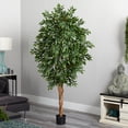 thumbnail image 3 of 6' Smilax Tree, 3 of 4
