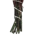 thumbnail image 4 of Vickerman 22" Natural Phylica Red bunch, Preserved, 4 of 6