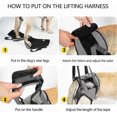 thumbnail image 4 of Support Sling for Dog Mobility - Soft Lifting Harness for Back Legs & Injury Assistance, 4 of 5