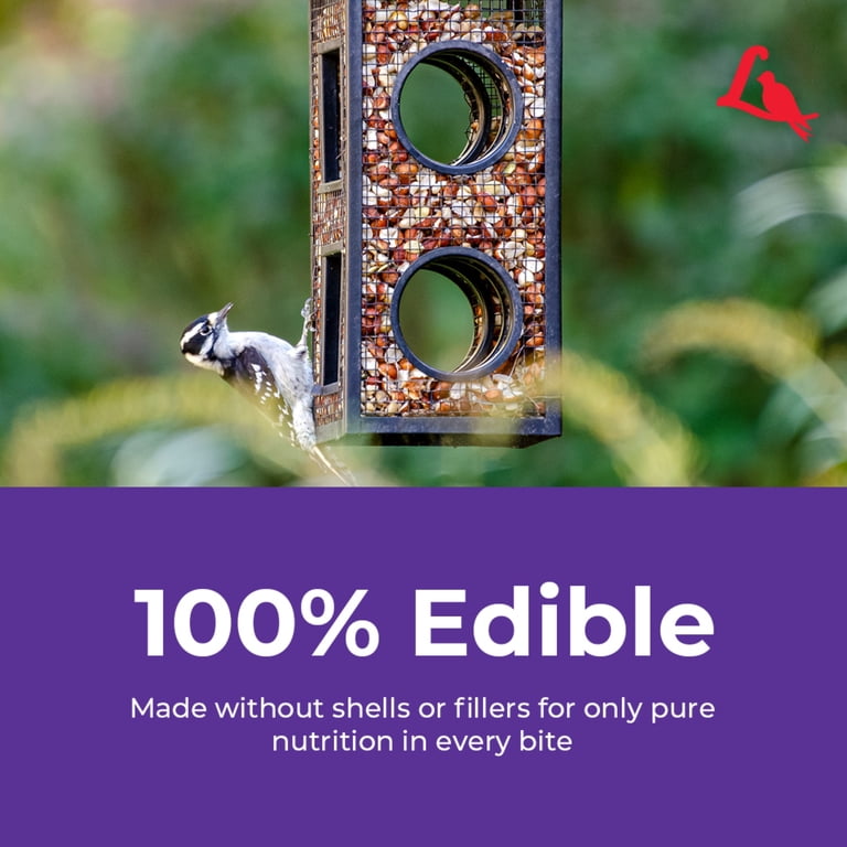 Lyric Delite Wild Bird Seed, No Waste Mix with Shell-Free Nuts