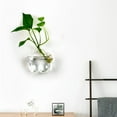 thumbnail image 5 of D-GROEE Hanging Wall Mounted Fish Bowl Betta Tank Aquarium Wall Decor Plant Fish Bubble, 5 of 6