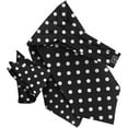 thumbnail image 3 of Vittorio Farina Polka Dot Ascot & Pocket Square, 3 of 29