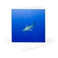 thumbnail image 5 of 3drose, Hawaii, Big Island, Oceanic White Tip Shark - Us12 Pso0037 - Paul Souders, 12 Greeting Cards with Envelopes, 5 of 7