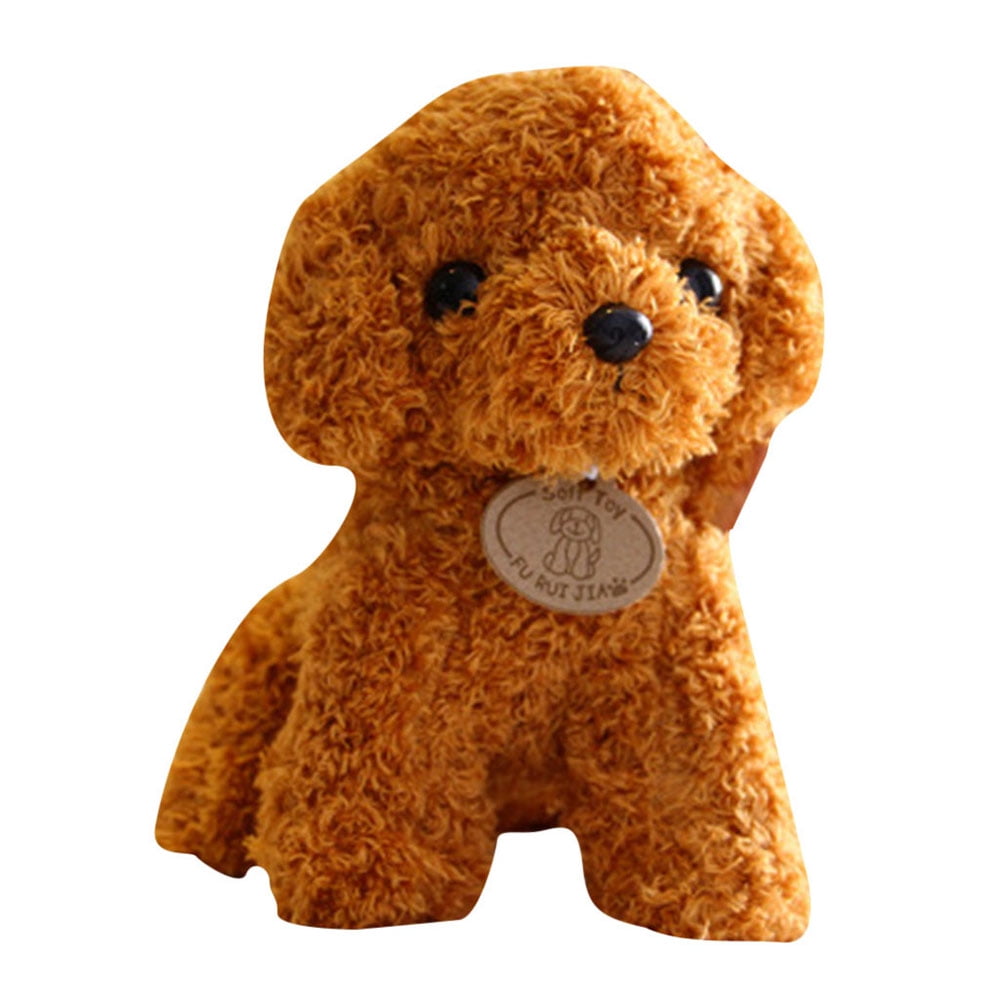 puppy teddy