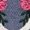 Black, variant on God is Good Embroidered t-shirt, embroidered bows and flower
