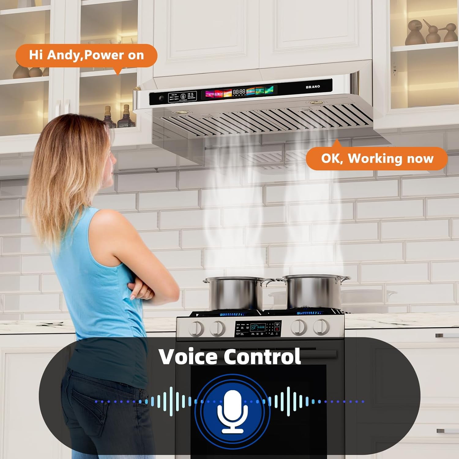 30 Inch Under Cabinet Range Hood with Voice/Gesture/Touch Control, 900 CFM Kitchen Vent Hood with 4-Speed Exhaust Fan, Stainless Steel Stove Hood with LED Lights, Baffle Filters