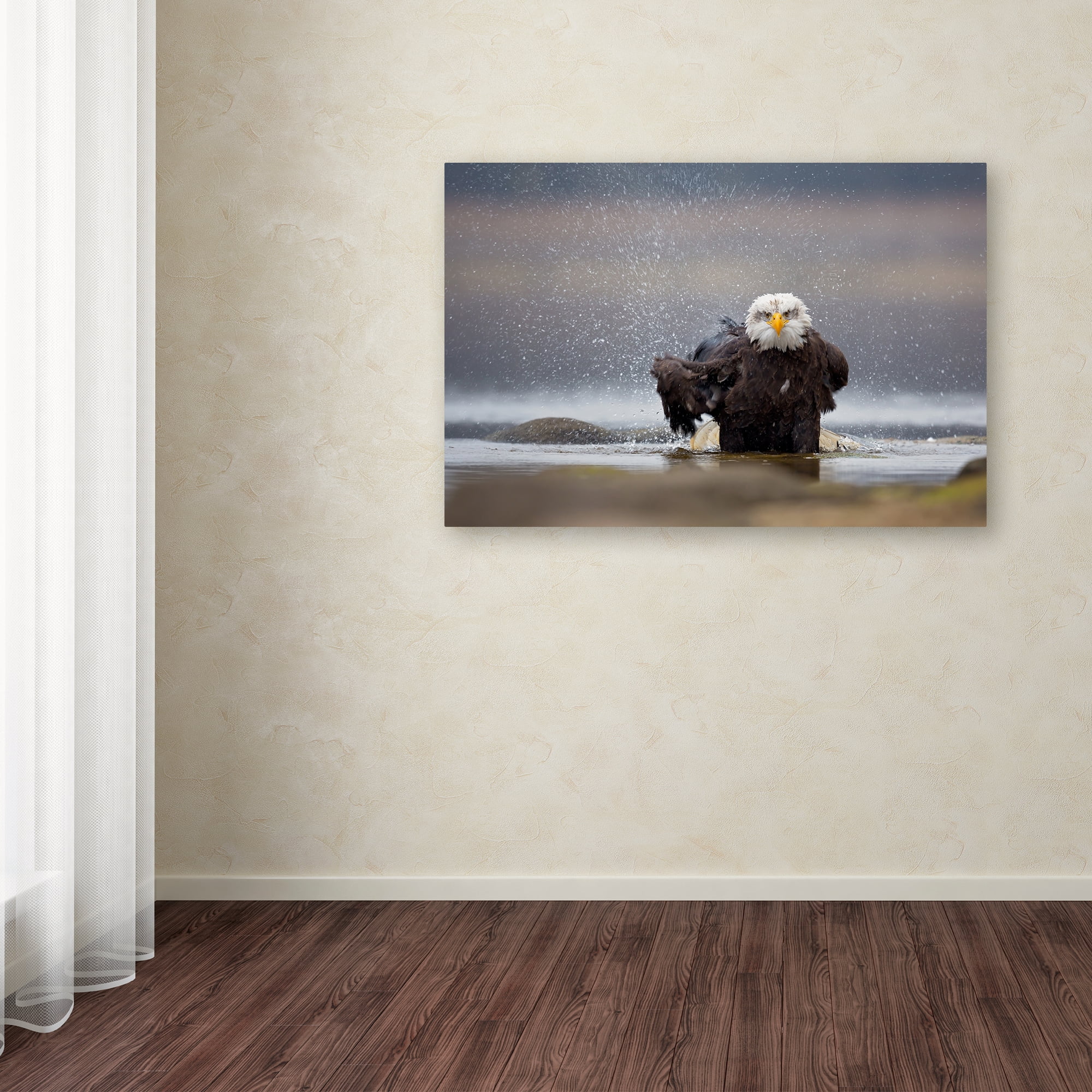 Milan Zygmunt 'Bald Eagle' Canvas Art