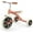 Salmon, variant on Chillafish Ziggi – Sturdy Tricycle with Carry Handle & 12" Wheel for Children 2-5 Years, Olive