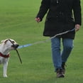 thumbnail image 5 of Minkissy 1Set Pet Running Leash Polyester Adjustable for Dogs Outdoor Activities 133x2.5in, 5 of 5